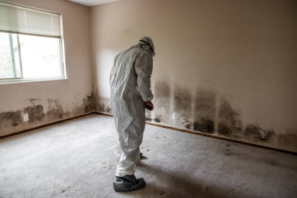 Mooreville, MS Mold Remediation Company